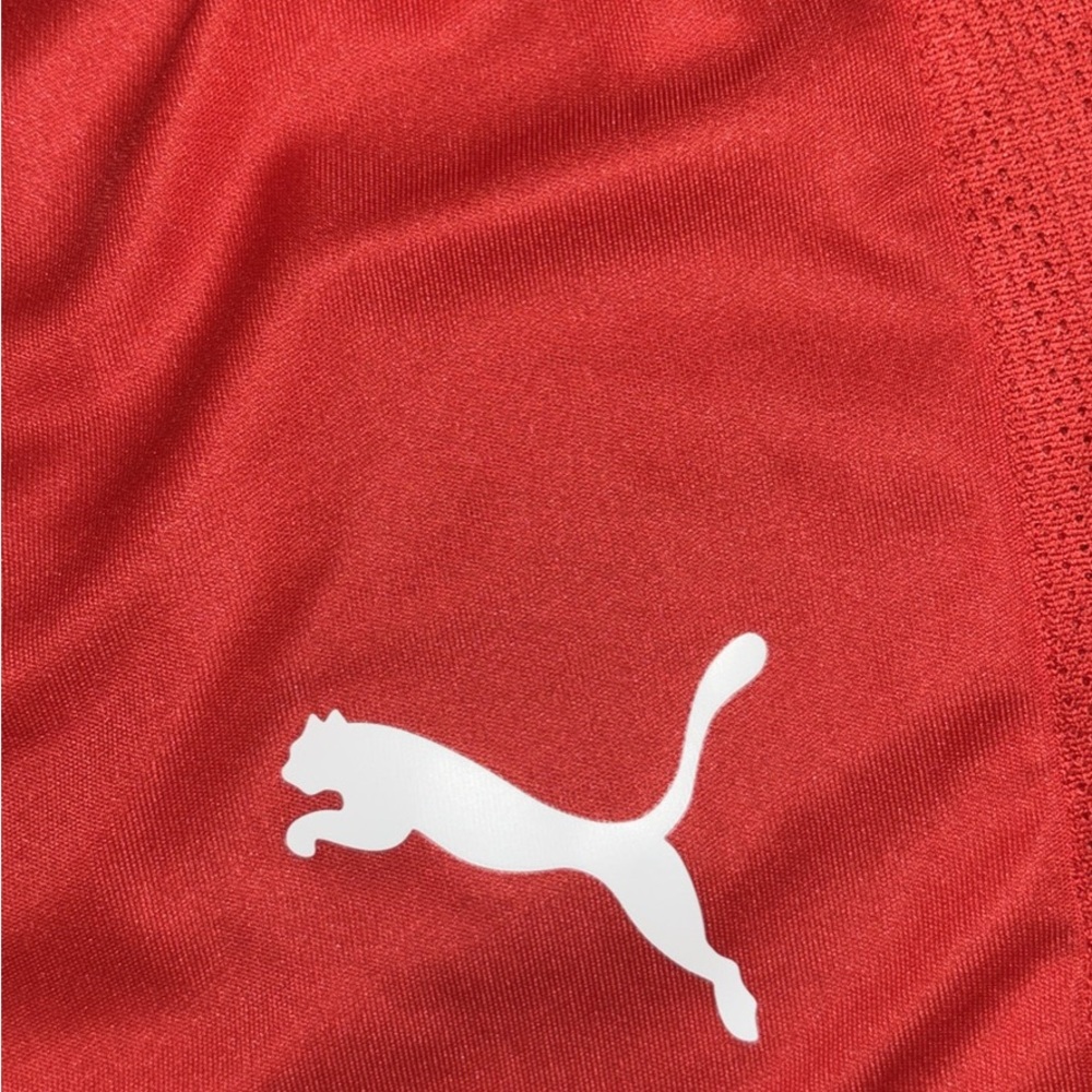 Puma Bold Red Sports Tee